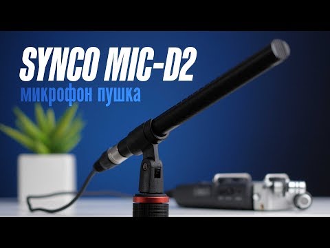 Видео: SYNCO MIC-D2 — лучшая недорогая пушка для видеосъемки