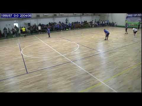 Видео: 1 УЧАСТОК CUP/2004/06-1987/86