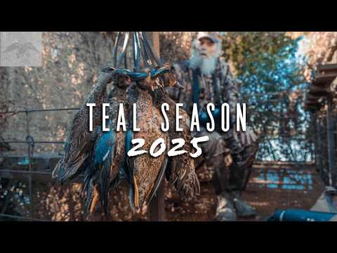 Видео: СЕЗОН ЧИРКА 2025 // SI НАПРАВЛЯЕТСЯ В ХАНИ-БРЕЙК // ВЕЧЕРНЯЯ ОХОТА НА ГОЛУБЕЙ