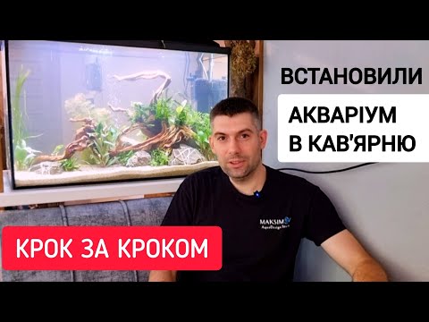 Видео: Акваріум в кав'ярню від Maksimov AquaDesign Studio / Встановлення акваріума під ключ крок за кроком