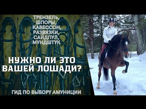 Видео: Трензель, мундштук, шпоры, сайдпул - нужно ли это вашей лошади. Достоинства и недостатки амуниции