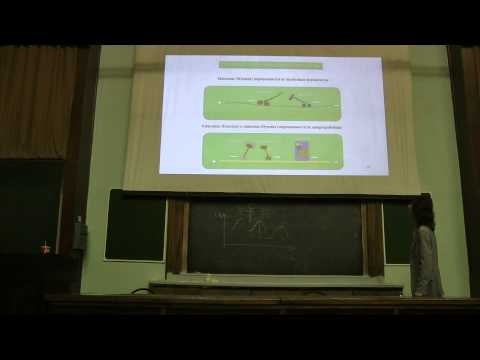 Видео: ч. 2: Молекулярные основы биологической подвижности