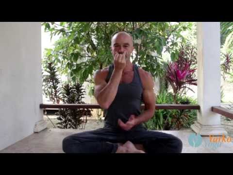 Видео: Анулома вилома, нади шодхана. Пранаяма для начинающих.