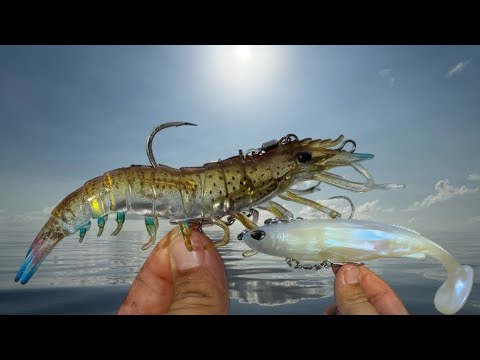 Видео: Новейшие приманки на рынке