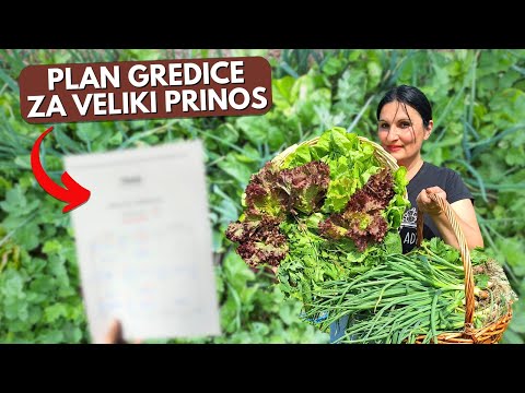 Видео: Как сделать эффектную РАССАЖКУ