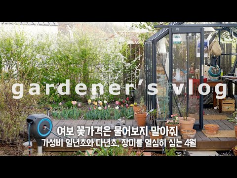 Видео: Слава, не спрашивайте, сколько этих цветов 🤫 Это сезон посадки.