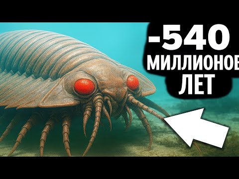 Видео: КЕМБРИЙСКИЙ ПЕРИОД: Когда МОНСТРЫ ЗАХВАТИЛИ Землю! (Странные Существа Древности)