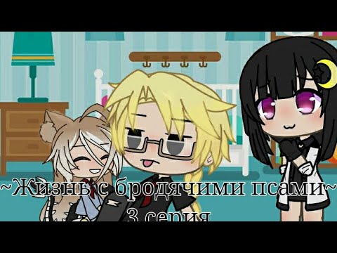 Видео: 💕💫|наша жизнь с бродячими псами [3/?] 💫💕