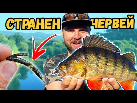 Видео: ТАЗИ СТРАННА ПРИМАМКА ги КОПАРДИСА! Ловя каракуда на плувка :)