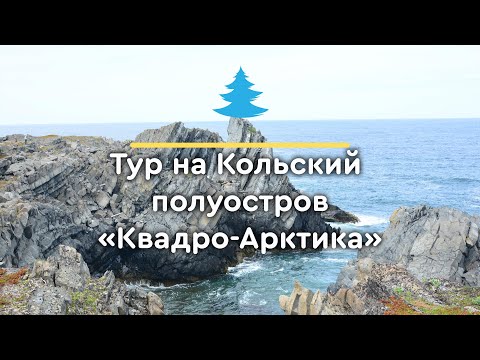 Видео: Полуостров Рыбачий. Квадро-Арктика в период  золотой осени