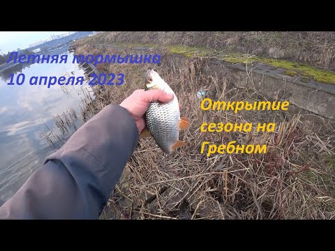 Видео: Летняя мормышка. 10 апреля 2023. Открытие на Гребном.