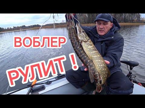 Видео: Навигация ЗАКРЫТА 🔒// Спиннинг в начале ноября, воблер сила 💪