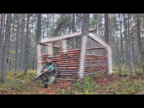 Видео: Строю убежище в тайге - Выживание в лесу.