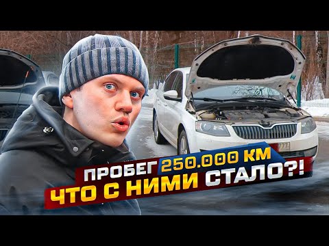 Видео: Октавия с большим пробегом