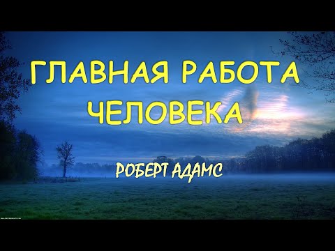 Видео: Работа с 4мя принципами [Роберт Адамс]