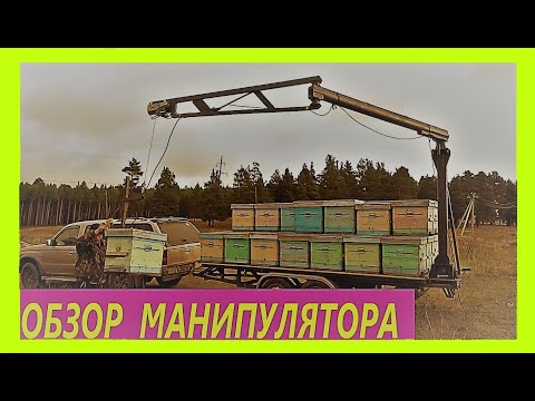 Видео: Кочевка и механизация погрузки ульев.