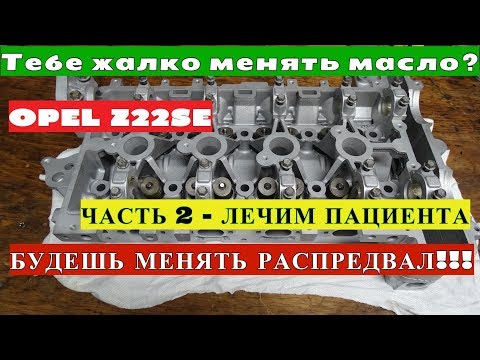 Видео: ГЕРМАНИЯ КАК ЧАСТО НЕМЦЫ МЕНЯЮТ МАСЛО ? И ПОЧЕМУ НАДО ЧАСТО МЕНЯТЬ МАСЛО !!!