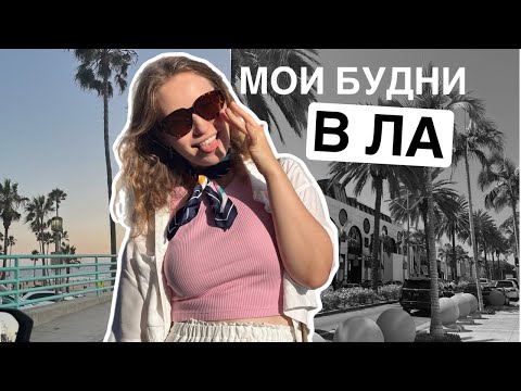 Видео: МОИ ДНИ В ЛА  🌄🌴