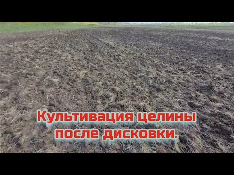 Видео: Культивация целины после дисковки.