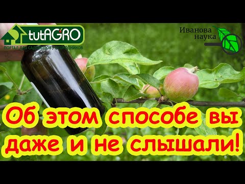 Видео: ЗА 1 РУБЛЬ ОБРАБОТАЛ ВСЁ! Тля сдохла, муравьи и слизни ушли к соседям, белокрылка улетела прочь.