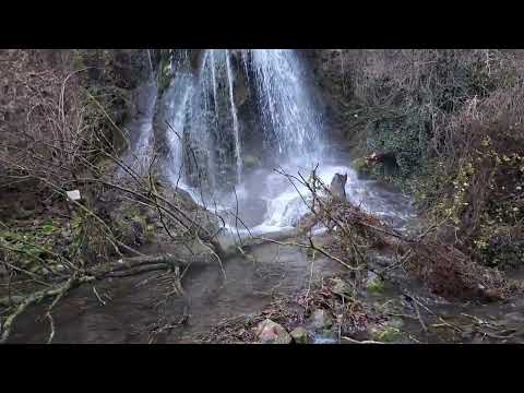 Видео: Архив част-3