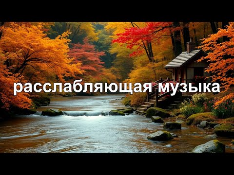 Видео: Спокойная расслабляющая музыка 🌿 Звуки природы и лёгкое пианино для сна и внутреннего покоя