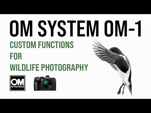 Видео: Система OM OM-1: пользовательские функции для фотосъемки дикой природы