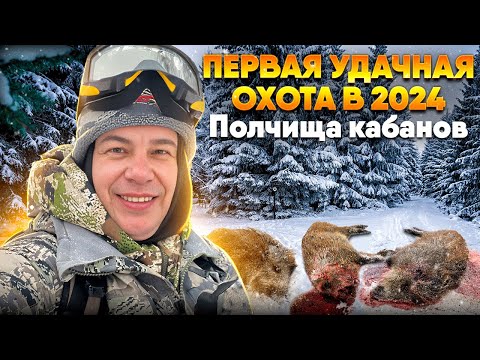 Видео: Полчища кабанов и Буран | ВОЛШЕБНОЕ ОХОТХОЗЯЙСТВО | БУДЕМ ПРОЩЕ