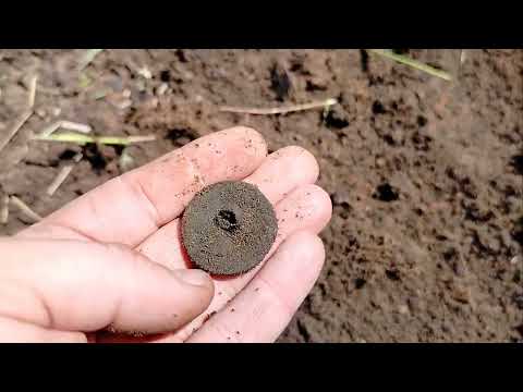 Видео: ШУРФ,МОНЕТЫ,СТЕКЛО И НЕ ТОЛЬКО!#metaldetecting #копстарины #шурф_фундамента