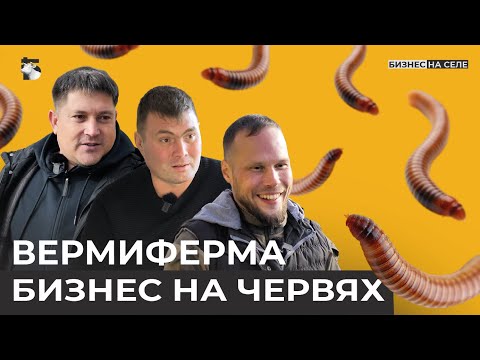 Видео: Как калифорнийский червь приносит миллионы? Бизнес на биогумусе