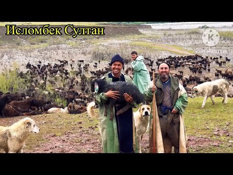Видео: 5 - Кисим  Райони Гарм боронгари 🌨️ 👍🇹🇯04 05 2024 г.