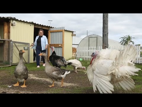 Видео: Лена Макарова тэлгэһэтигэр