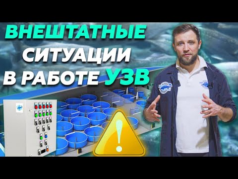 Видео: Топ ПРИЧИН внутренних СБОЕВ в РАБОТЕ УЗВ и как их УСТРАНЯТЬ? | Бизнес ИДЕИ 2022