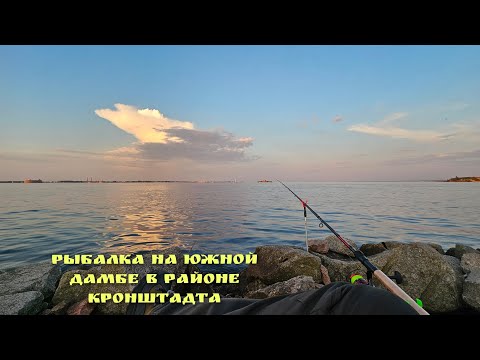 Видео: Рыбалка на южной дамбе, в районе Кронштадта. Санкт-Петербург. #рыбалка #fishing 