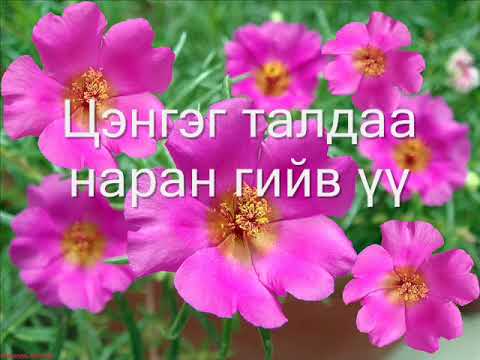 Видео: Инээмсэглэл хамтлаг  Хослон дуулья
