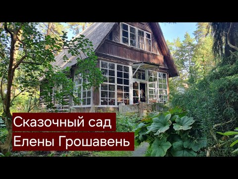 Видео: Сказочный сад Елены Грошавень. Путешествия по садам.