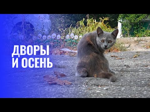 Видео: Прогулка по дворикам