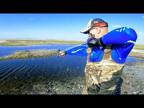 Видео: Рогатка для рыбалки НАРЕЗКА лучших выстрелов Самая лучшая рогатка Это рыбалка или охота ЕКЛМН???
