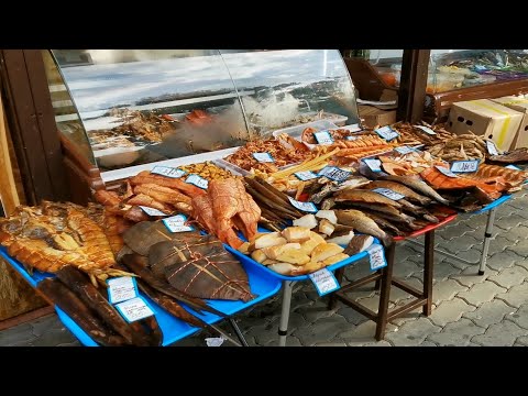 Видео: КУПИЛИ Леше ПИРАНЬЮ. Лазаревское. СОЧИ.@Шиндр Мындр