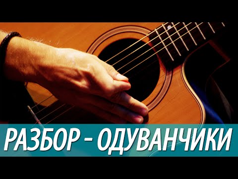 Видео: Разбор, аккорды песни - Одуванчики (бой, перебор)