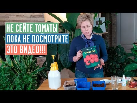Видео: СЕЗОН 2020: САЖАЙТЕ ТОМАТЫ ТОЛЬКО ТАК!!! Рассада будет крепкая и здоровая! / Садовый гид