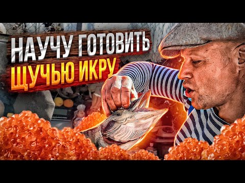 Видео: ЩУЧЬЯ ИКРА!! Рецепт моей бабушки!! Ничего вкуснее я не ел!!