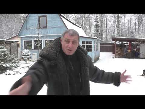 Видео: Мое мнение о широкохвостых!