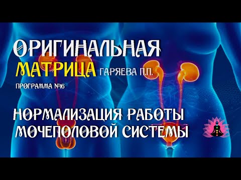 Видео: «Нормализация работы мочеполовой системы» Программа №16⚠️Оригинальная матрица Гаряева☀️ SoftRadio ru