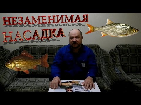 Видео: Карась,плотва незаменимая насадка !