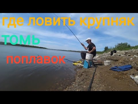 Видео: Где ловить крупную рыбу,в трех метрах от берега или в пятнадцати?Поплавок.Маховая удочка.