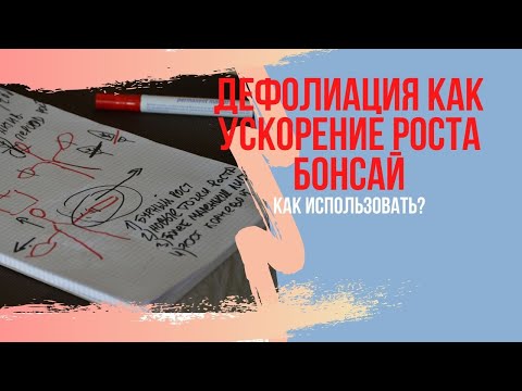 Видео: Дефолиация бонсай. Какие деревья бонсай можно дефолиировать ? Как правильно делать дефолиацию?