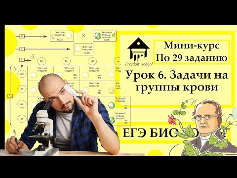 Видео: Мини-курс по задачам по генетике. Урок 6. Задачи на группы крови |ЕГЭ БИОЛОГИЯ|Freedom|