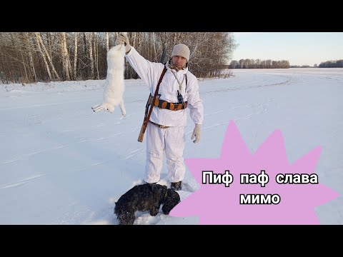 Видео: ОХОТА НА ЗАЙЦА . чуть на уши не наступил косому . ИЖ 58 конечно в теме