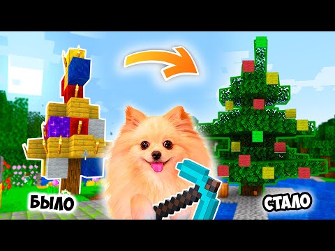 Видео: ПОСТРОИЛА КРАСИВУЮ ЕЛКУ В МАЙНКРАФТ ! МОЯ НОВАЯ ЕЛКА MINECRAFT !